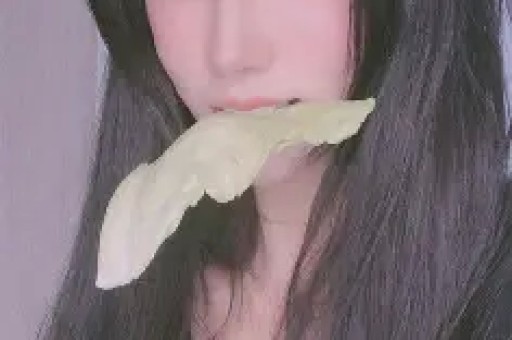 五人制足球甲级联赛深圳南岭铁狼客场加冕 五人制足球甲级联赛深圳南岭铁狼客场加冕